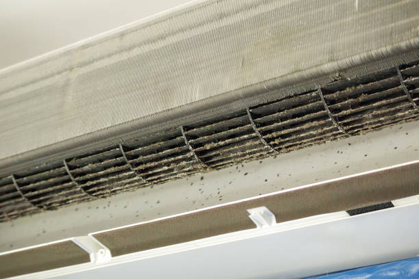 Best Residential Air Duct Cleaning in Chocowinity, NC